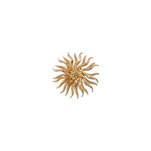 Charles Frederick Worth (France) Wheel of Birth Brooch